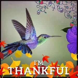 Meet your Posher, Malissa